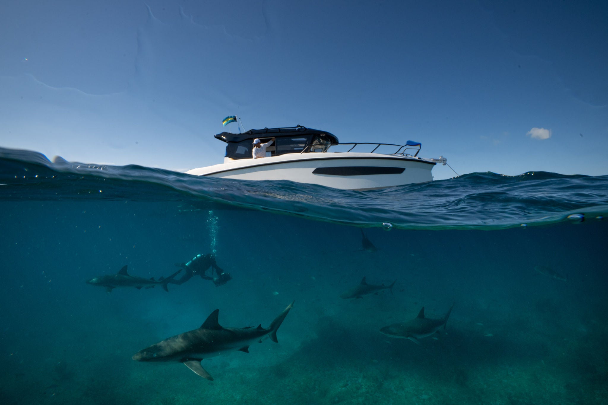 Andy Mann & NAVAN on an expedition in the Bahamas