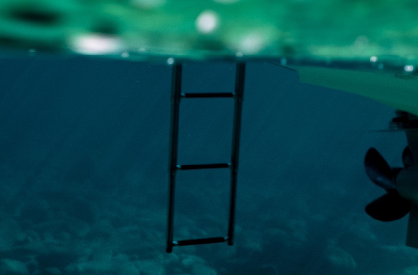 Swim Ladder