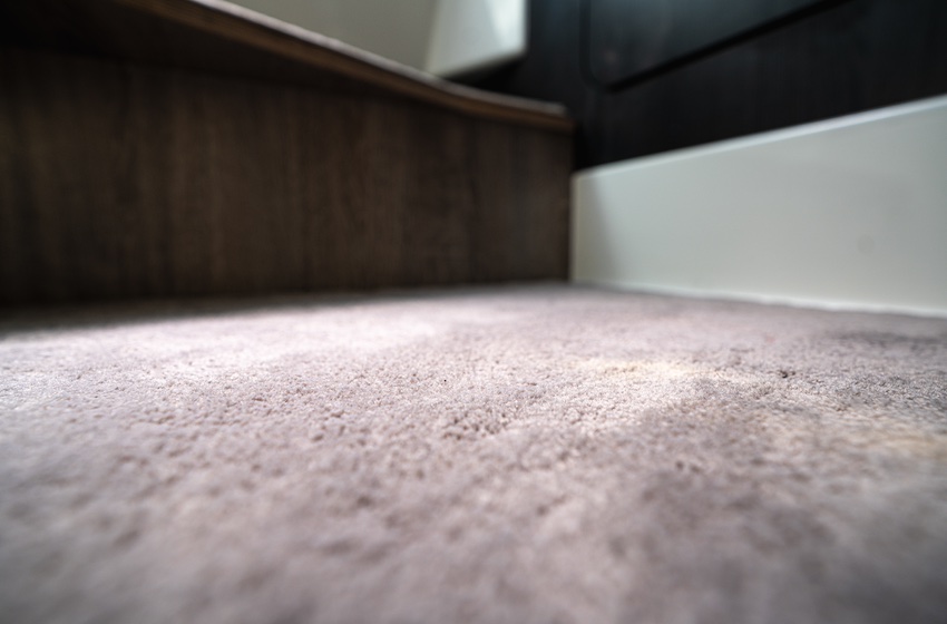 Interior Floor Carpet